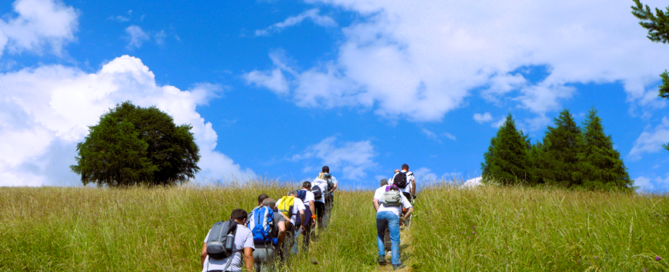 Outdoor Adventure Based Learning